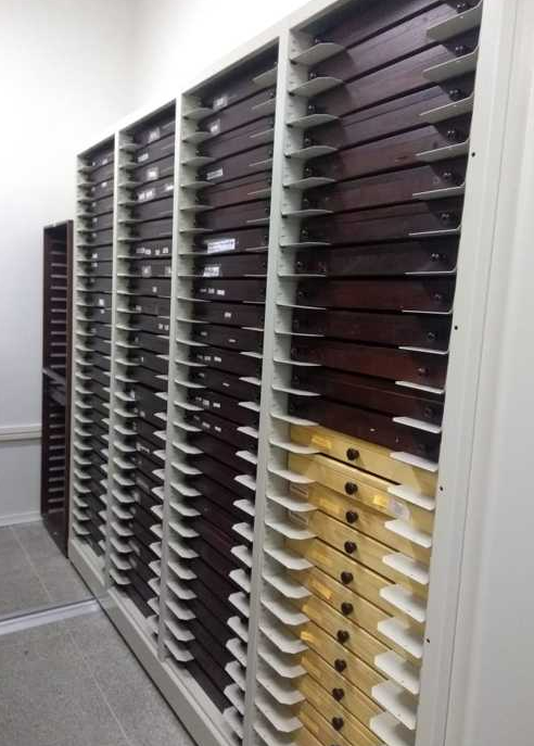 Captura de tela 2025-10-31 142858.png